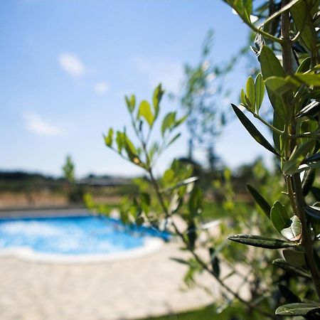 Marceta - Apartments & Rooms With Swimming Pool Fažana Zewnętrze zdjęcie