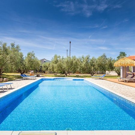 Marceta - Apartments & Rooms With Swimming Pool Fažana Zewnętrze zdjęcie