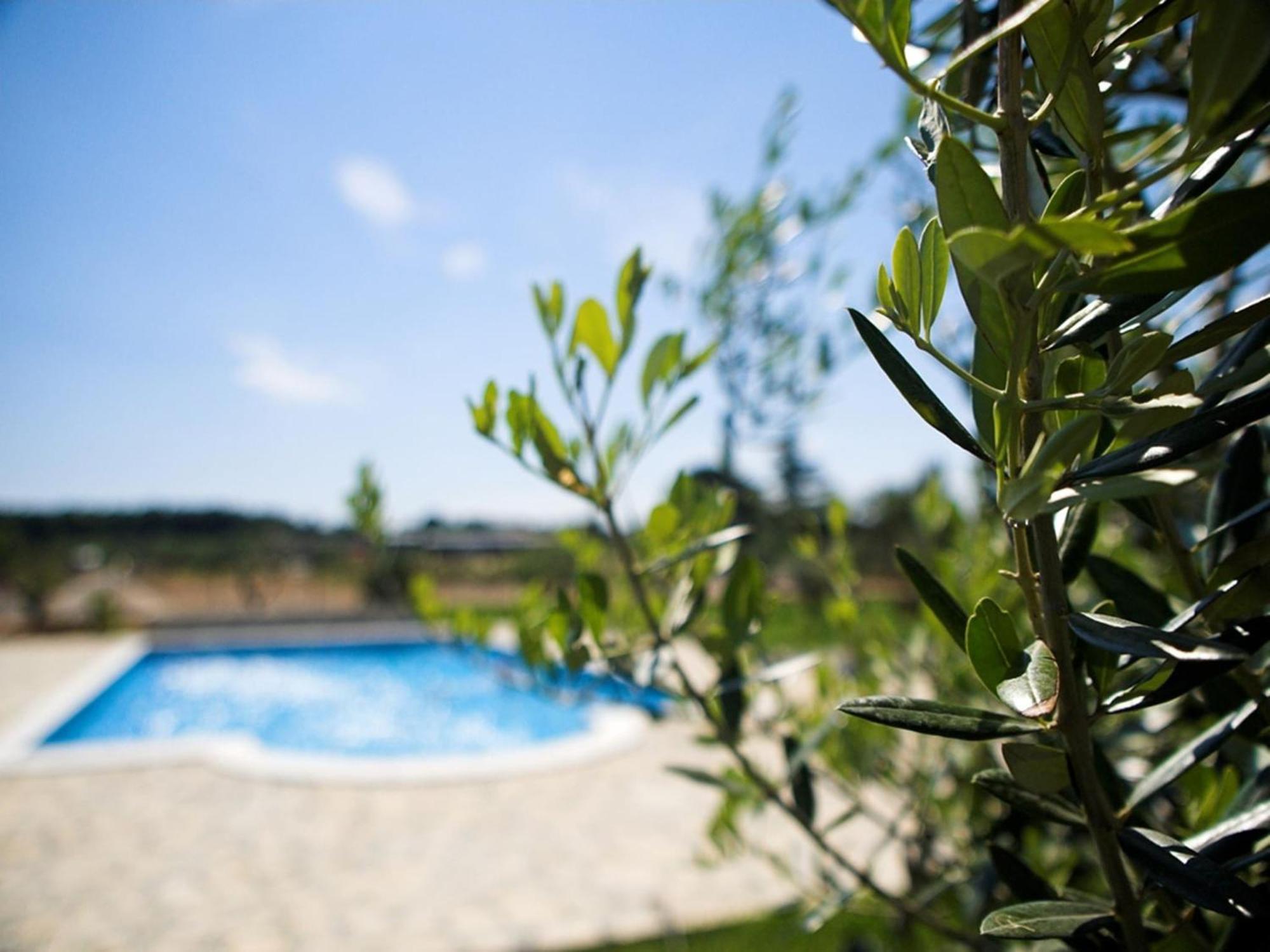 Marceta - Apartments & Rooms With Swimming Pool Fažana Zewnętrze zdjęcie